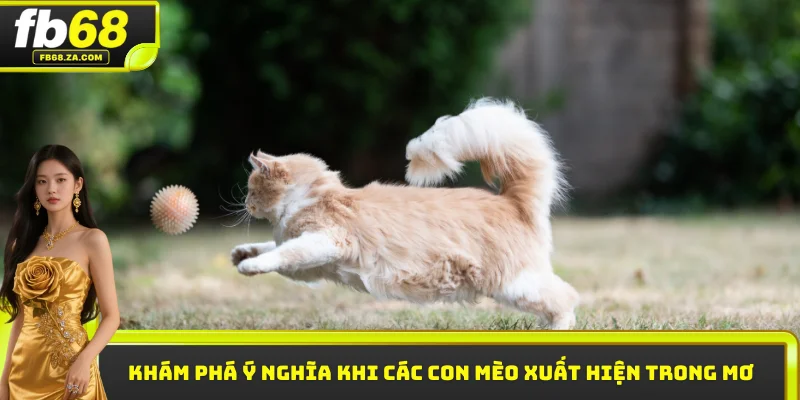 Khám phá ý nghĩa khi các con mèo xuất hiện trong mơ