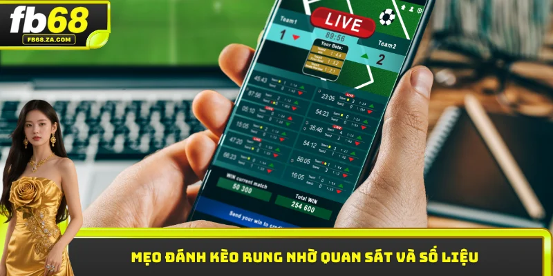 Mẹo đánh kèo rung nhờ quan sát và số liệu